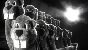 Задник до фільму "Hundreds of Beavers" #403289
