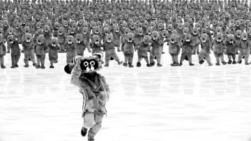 Задник до фільму "Hundreds of Beavers" #463699