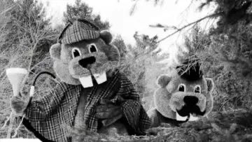 Задник до фільму "Hundreds of Beavers" #756225