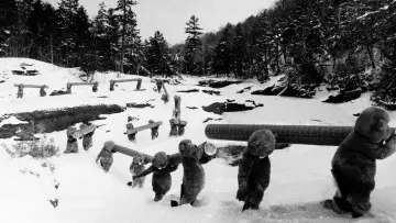 Задник до фільму "Hundreds of Beavers" #756233