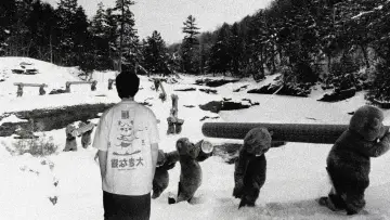Задник до фільму "Hundreds of Beavers" #756240