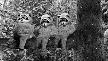 Задник до фільму "Hundreds of Beavers" #756243