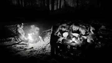 Задник до фільму "Hundreds of Beavers" #756255