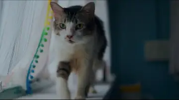 Задник до фільму "Max, Min and Meowzaki" #953225