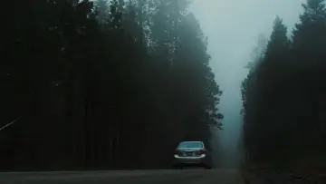 Задник до фильму"Їдьте назад" #865549