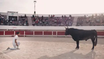 Задник до фильму"Animale" #599427