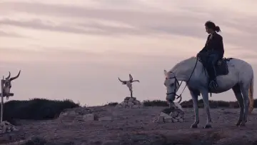 Задник до фильму"Animale" #599428