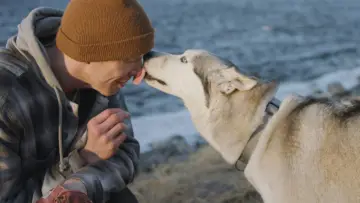 Задник до фільму "The Year of the Dog" #1649620