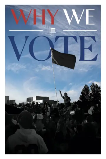 Why We Vote постер