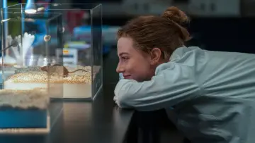 Задник до фильму"The Love Hypothesis" #913415