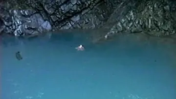 Задник до фільму "Axolotl Wooper Looper’s Lair" #1228338