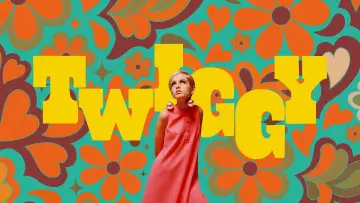 Задник до фильму"Twiggy" #775055
