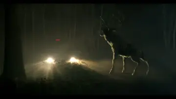 Задник до фильму"Bambi: The Reckoning" #445147