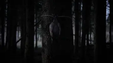 Задник до фильму"Bambi: The Reckoning" #445154