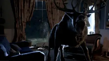 Задник до фильму"Bambi: The Reckoning" #586430