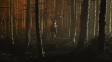 Задник до фильму"Bambi: The Reckoning" #586443