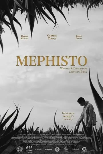 Постер до фильму"Mephisto" #413840