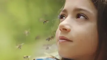 Задник до фильму"20.000 especies de abejas" #190574