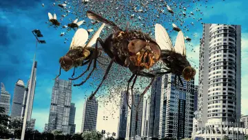 Задник до фильму"The Deadly Swarm" #449131