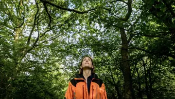 Задник до фильму"The Arborist" #737480