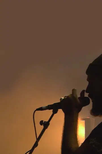 Howling - Sónar Festival постер