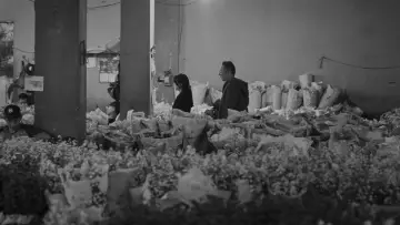 Задник до фильму"Jatuh Cinta Seperti di Film-Film" #1073583