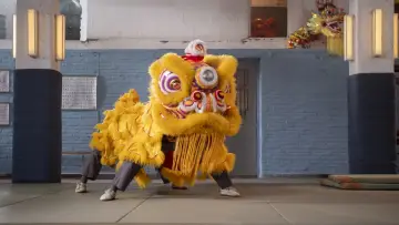 Задник до фильму"Kung Fu Leeuw" #427345