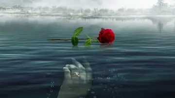 Задник до фільму "A Rose for Her Grave: The Randy Roth Story" #1624755