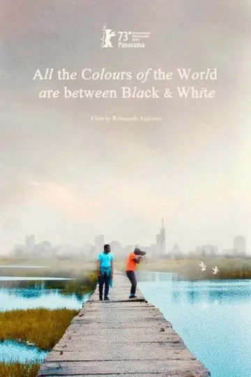 Постер до фільму "All the Colours of the World Are Between Black and White" #1090995