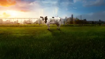 Задник до фільму "Food, Inc. 2" #476243