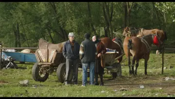 Задник до фильму"У пошуках клезмерів" #1112266