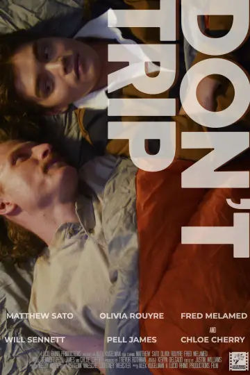 Постер до фильму"Don
