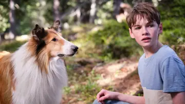 Задник до фільму "Lassie - Ein neues Abenteuer" #479504