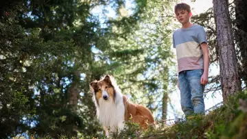 Задник до фільму "Lassie - Ein neues Abenteuer" #479506