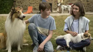 Задник до фільму "Lassie - Ein neues Abenteuer" #503122