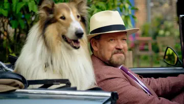 Задник до фільму "Lassie - Ein neues Abenteuer" #503124
