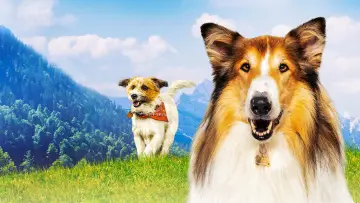 Задник до фільму "Lassie - Ein neues Abenteuer" #760301