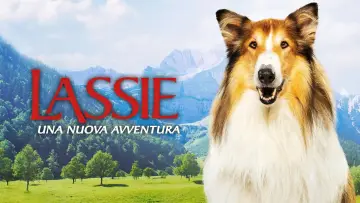 Задник до фільму "Lassie - Ein neues Abenteuer" #760303