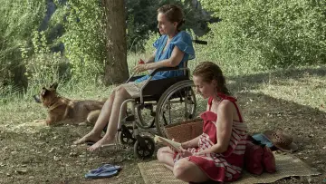 Задник до фильму"Los pequeños amores" #1015238