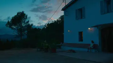 Задник до фильму"Los pequeños amores" #444428