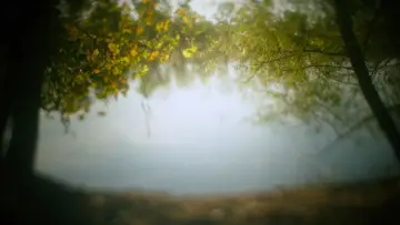 Задник до фільму "An Evening Song (for Three Voices)" #771453