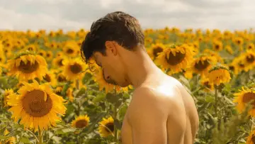Задник до фільму "Sunflower" #476392