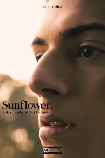 Постер до фільму "Sunflower" #476393