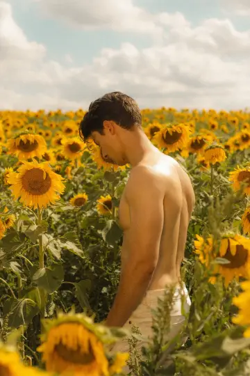 Постер до фільму "Sunflower" #476397