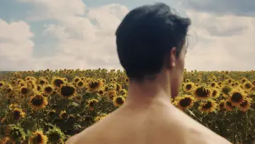 Задник до фільму "Sunflower" #820104