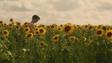 Задник до фільму "Sunflower" #820106