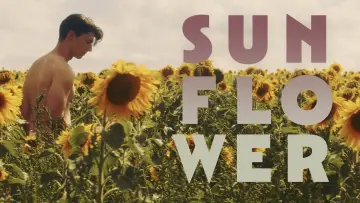 Задник до фільму "Sunflower" #820108