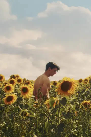 Постер до фільму "Sunflower" #820115