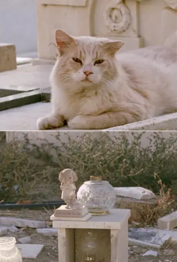Постер до фильму"Sorry to See You Go" #365687