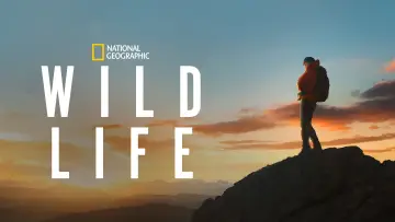 Задник до фільму "Wild Life" #1649510